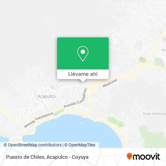 Mapa de Puesto de Chiles