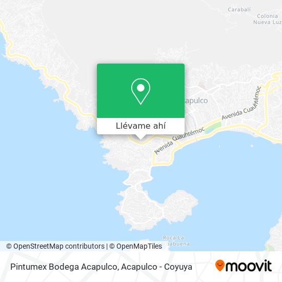 Mapa de Pintumex Bodega Acapulco