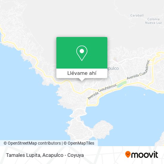 Mapa de Tamales Lupita
