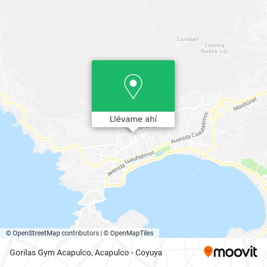 Mapa de Gorilas Gym Acapulco
