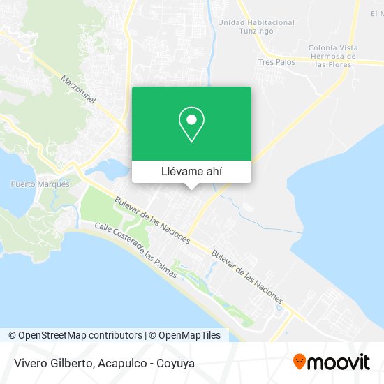 Mapa de Vivero Gilberto