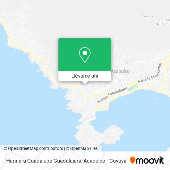 Mapa de Harinera Guadalupe Guadalajara