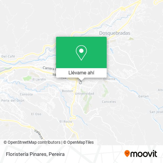 Mapa de Floristería Pinares