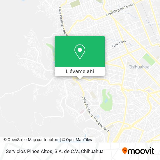 Mapa de Servicios Pinos Altos, S.A. de C.V.