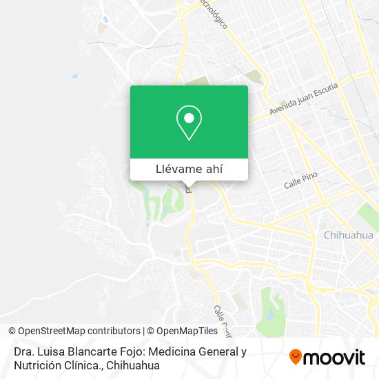 Mapa de Dra. Luisa Blancarte Fojo: Medicina General y Nutrición Clínica.