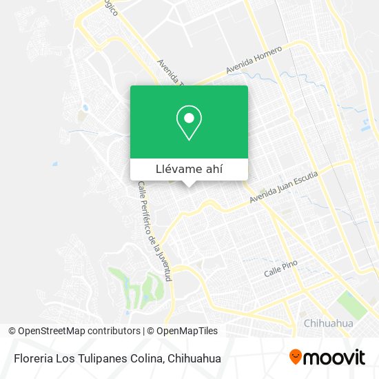 Cómo llegar a Floreria Los Tulipanes Colina en Chihuahua en Autobús?