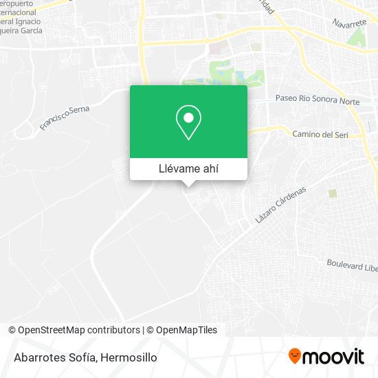 Mapa de Abarrotes Sofía