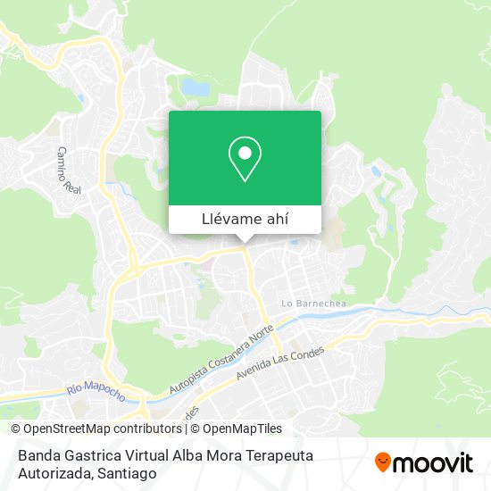 Mapa de Banda Gastrica Virtual Alba Mora Terapeuta Autorizada