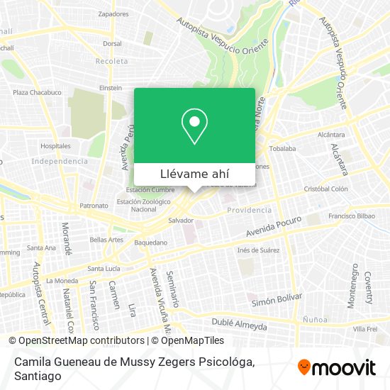 Mapa de Camila Gueneau de Mussy Zegers Psicológa