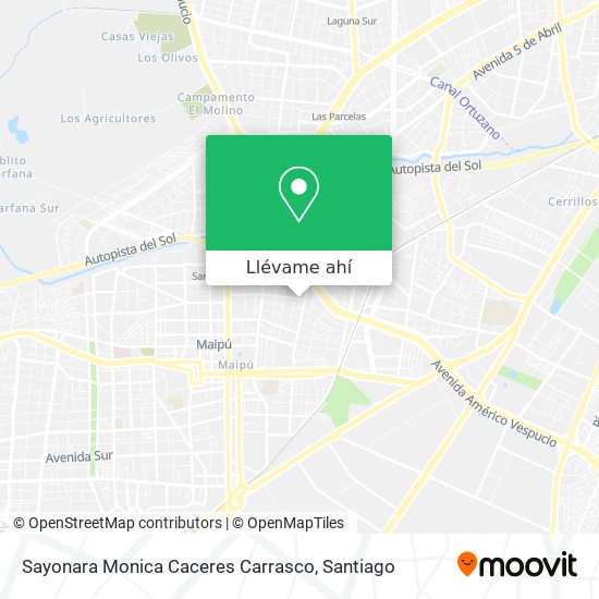 Mapa de Sayonara Monica Caceres Carrasco