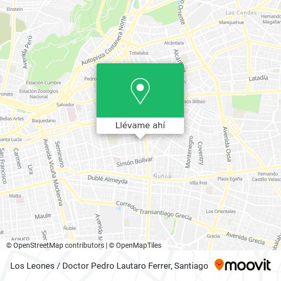 Mapa de Los Leones / Doctor Pedro Lautaro Ferrer