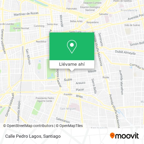 Mapa de Calle Pedro Lagos