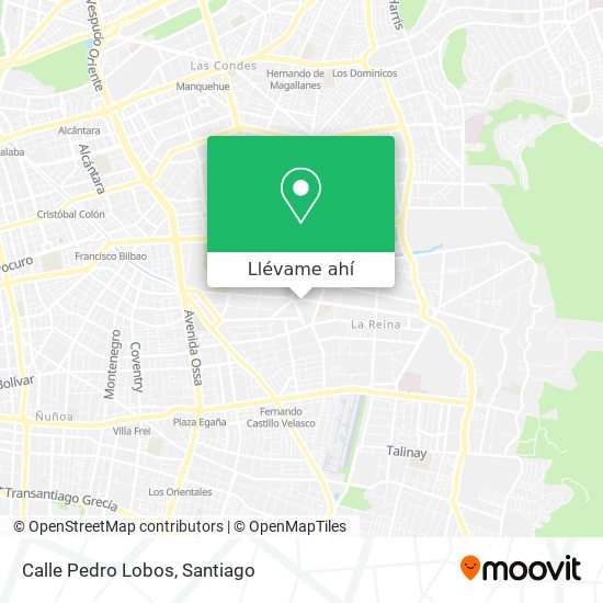 Mapa de Calle Pedro Lobos