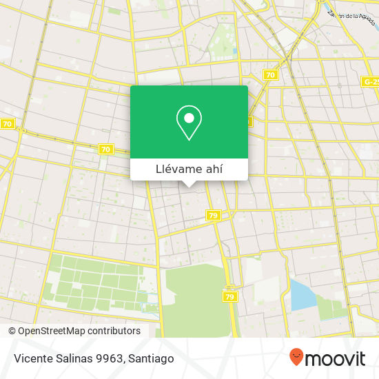 Mapa de Vicente Salinas 9963