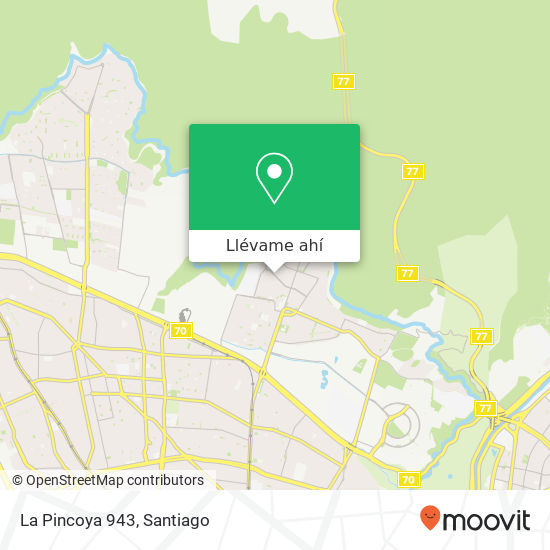 Mapa de La Pincoya 943