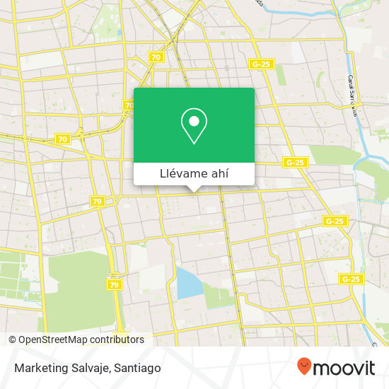 Mapa de Marketing Salvaje