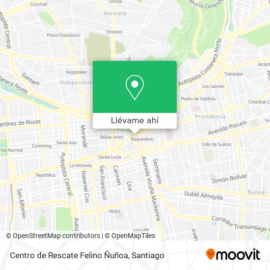 Mapa de Centro de Rescate Felino Ñuñoa