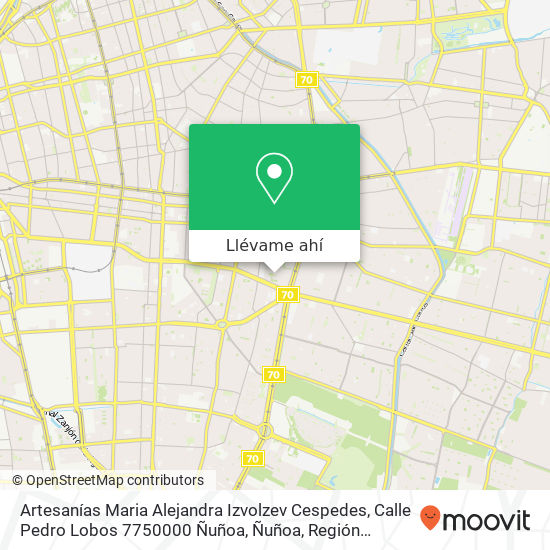 Mapa de Artesanías Maria Alejandra Izvolzev Cespedes, Calle Pedro Lobos 7750000 Ñuñoa, Ñuñoa, Región Metropolitana de Santiago