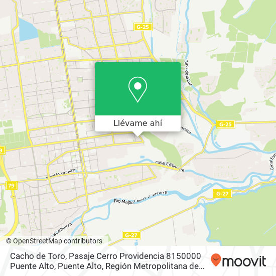 Mapa de Cacho de Toro, Pasaje Cerro Providencia 8150000 Puente Alto, Puente Alto, Región Metropolitana de Santiago