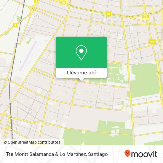 Mapa de Tte Montt Salamanca & Lo Martínez