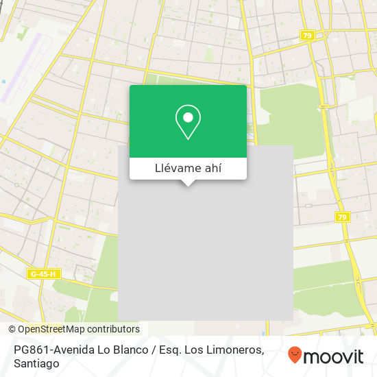 Mapa de PG861-Avenida Lo Blanco / Esq. Los Limoneros