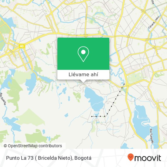 Mapa de Punto La 73 ( Bricelda Nieto)