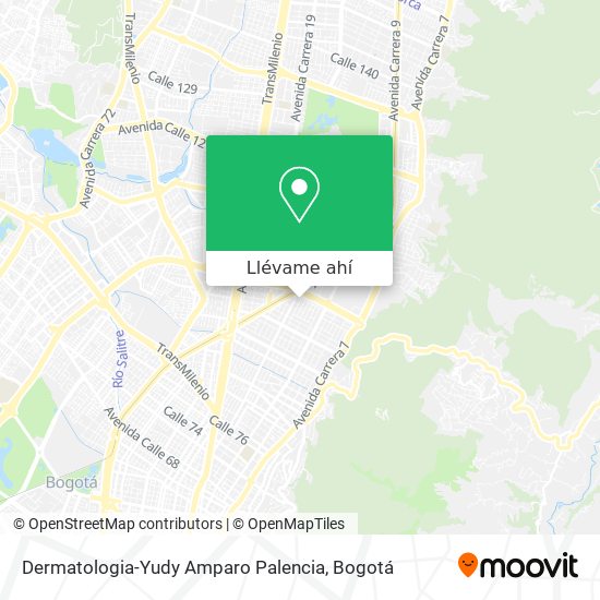 Mapa de Dermatologia-Yudy Amparo Palencia
