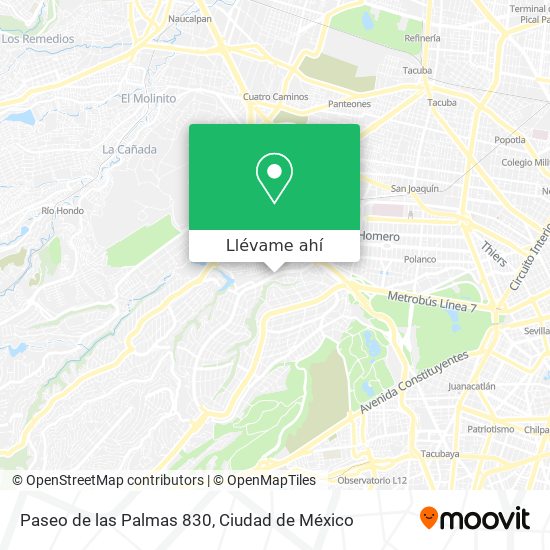 Mapa de Paseo de las Palmas 830