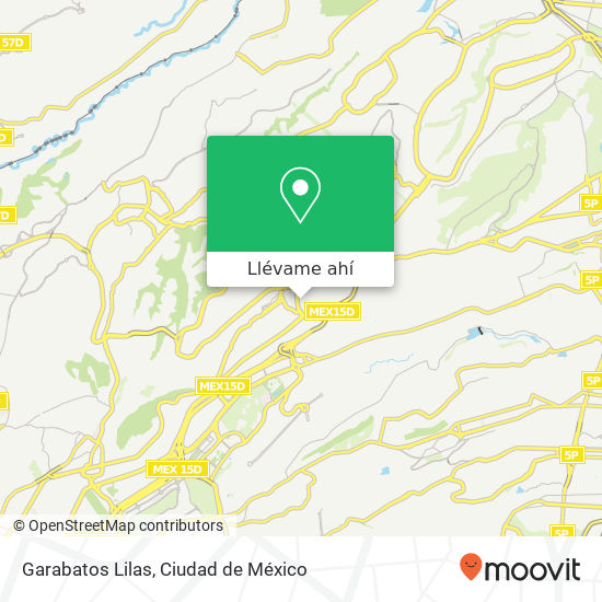 Mapa de Garabatos Lilas