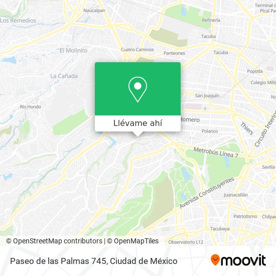 Mapa de Paseo de las Palmas 745