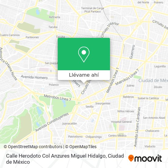 Mapa de Calle Herodoto  Col  Anzures  Miguel Hidalgo