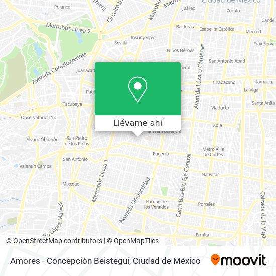 Mapa de Amores - Concepción Beistegui