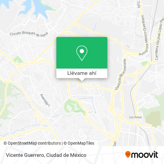Mapa de Vicente Guerrero