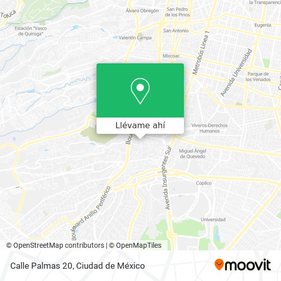 Mapa de Calle Palmas 20