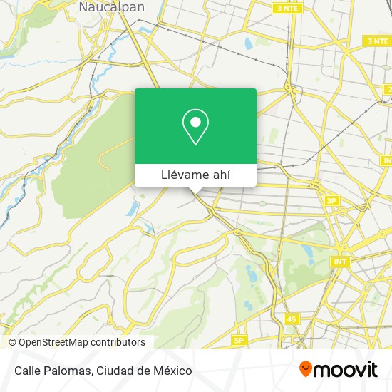 Mapa de Calle Palomas