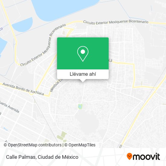 Mapa de Calle Palmas