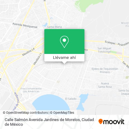 Mapa de Calle Salmón Avenida Jardines de Morelos