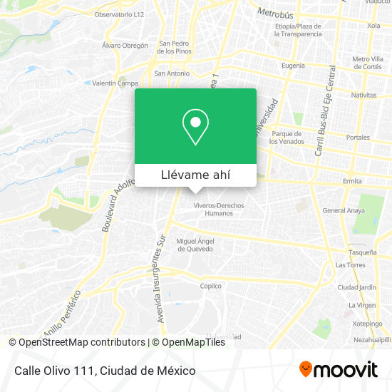 Mapa de Calle Olivo 111