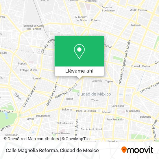 Mapa de Calle Magnolia Reforma