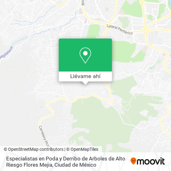 Mapa de Especialistas en Poda y Derribo de Arboles de Alto Riesgo Flores Mejia