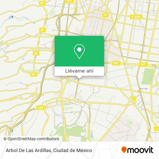 Mapa de Arbol De Las Ardillas