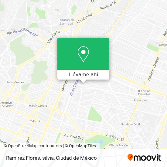 Mapa de Ramirez Flores, silvia