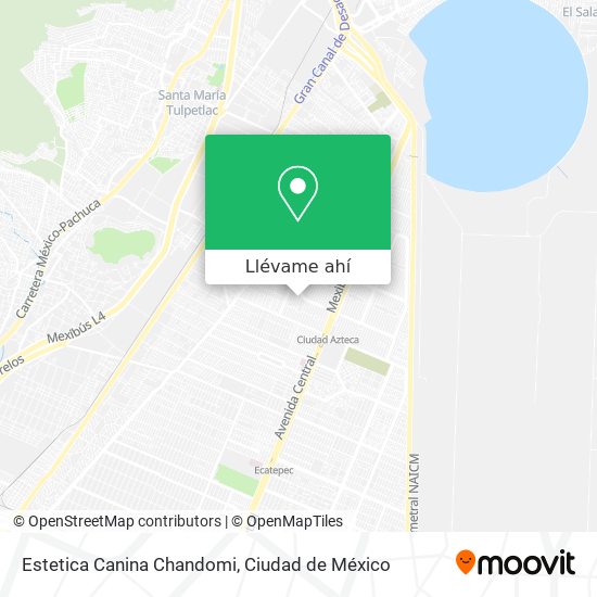 Mapa de Estetica Canina Chandomi