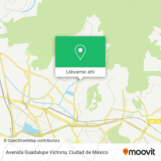 Mapa de Avenida Guadalupe Victoria