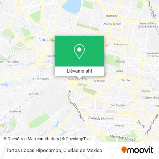 Mapa de Tortas Locas Hipocampo