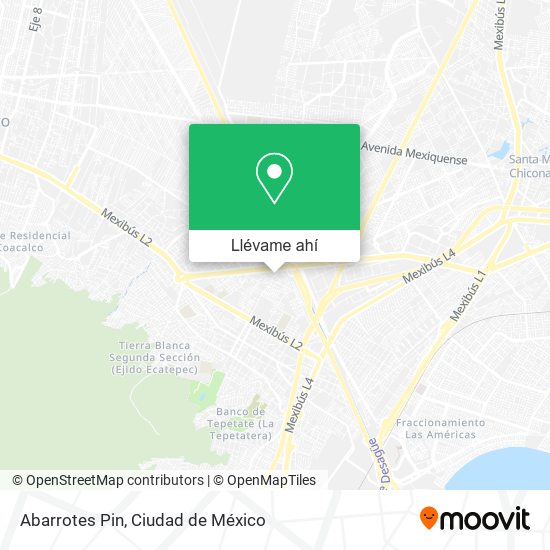 Mapa de Abarrotes Pin