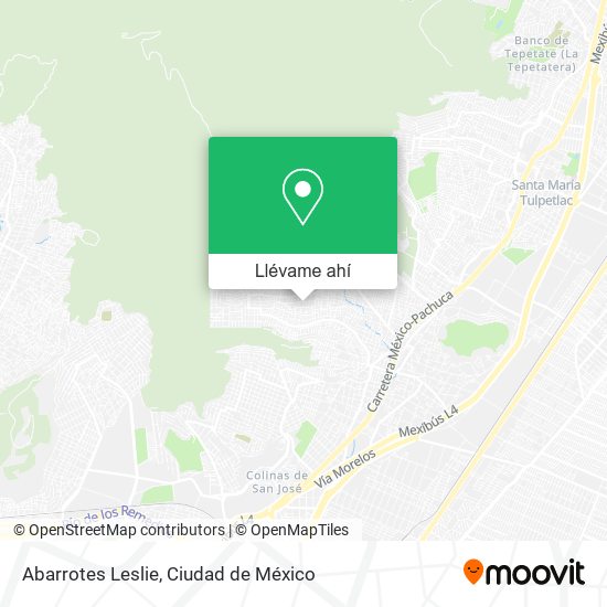 Mapa de Abarrotes Leslie