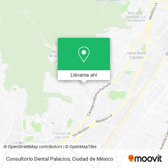 Mapa de Consultorio Dental Palacios