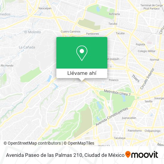 Mapa de Avenida Paseo de las Palmas 210