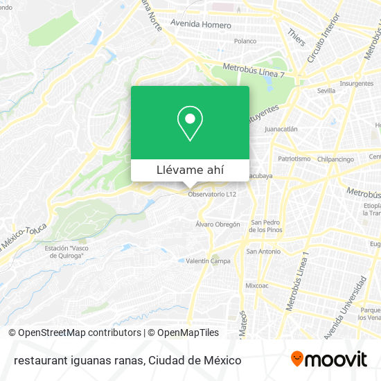 Mapa de restaurant iguanas ranas